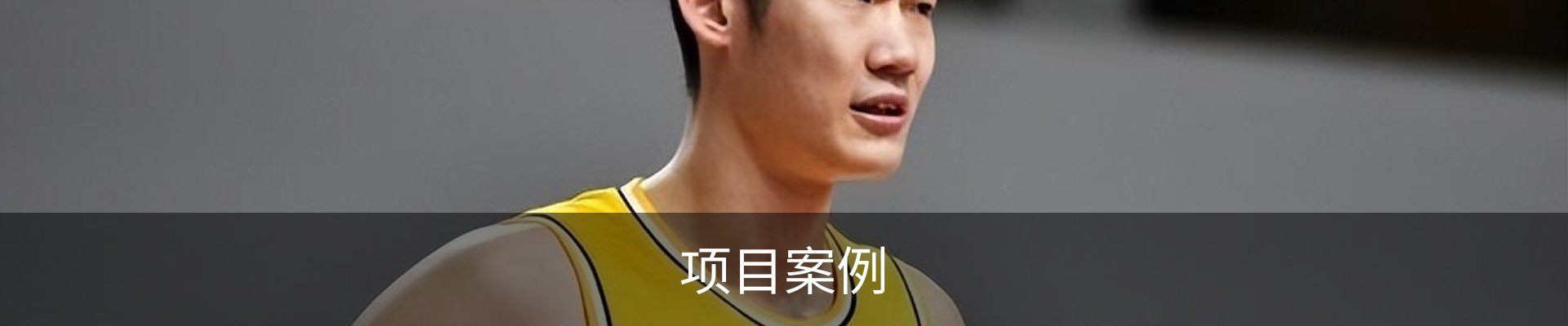 项目案例